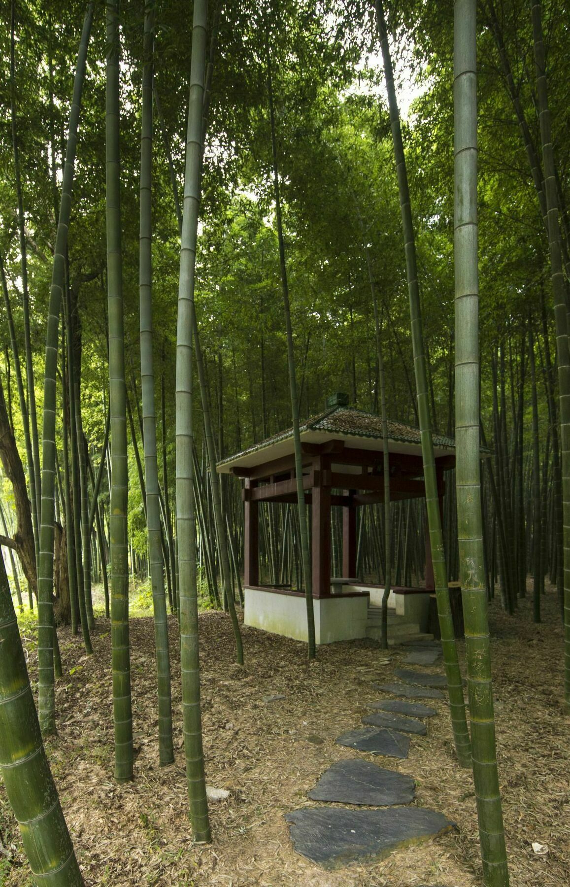 Core Fire Villafound Suzhou  Zewnętrze zdjęcie